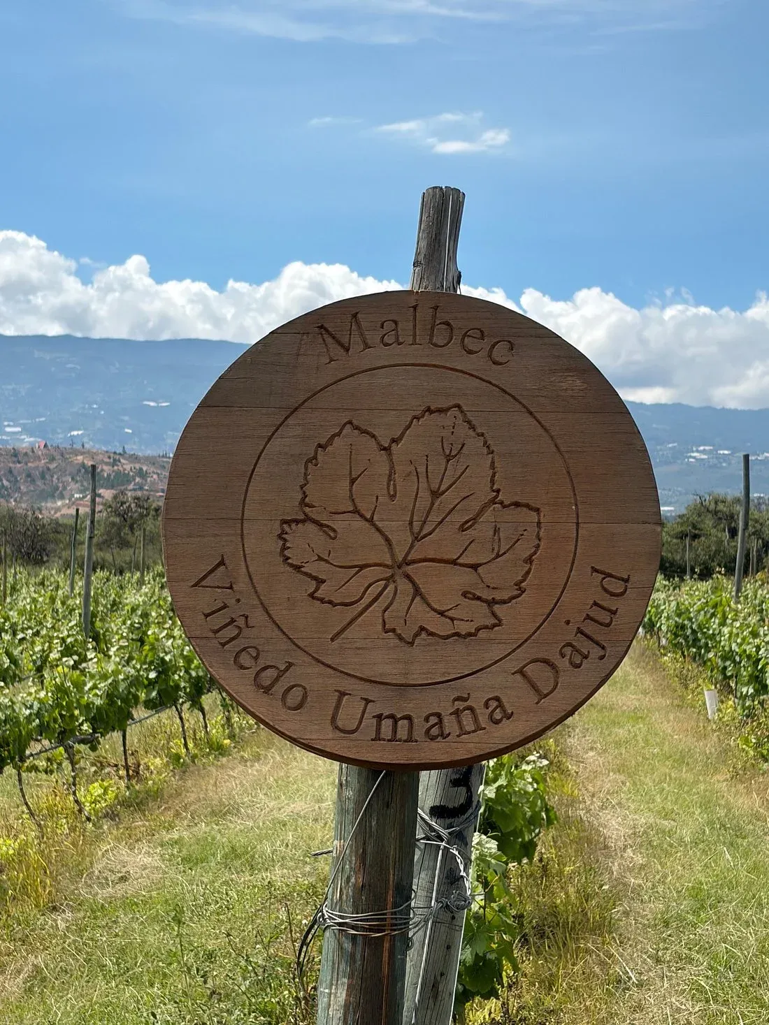 Letrero tallado de un lote de Malbec entre las viñas