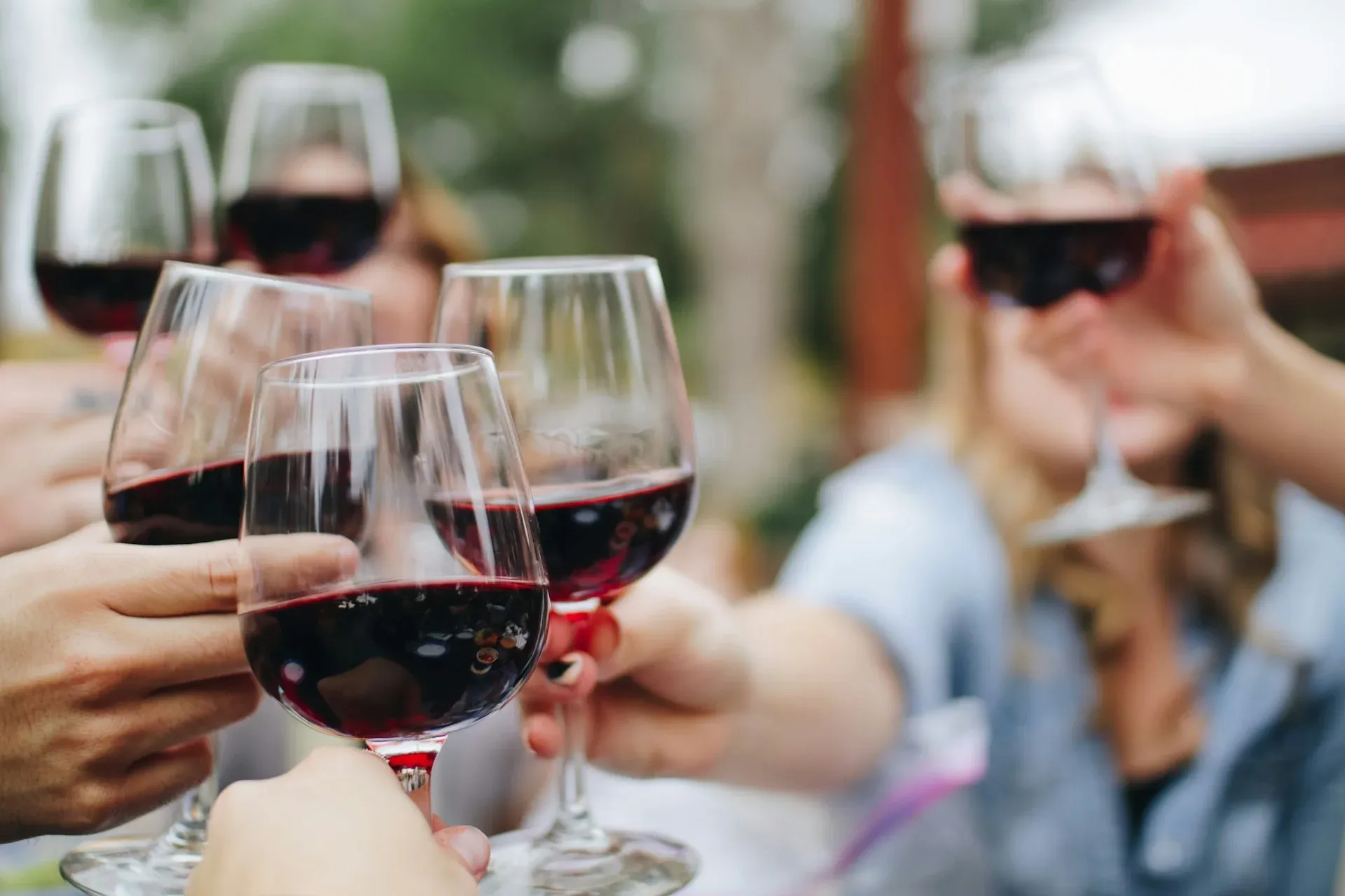 Introduction to wine